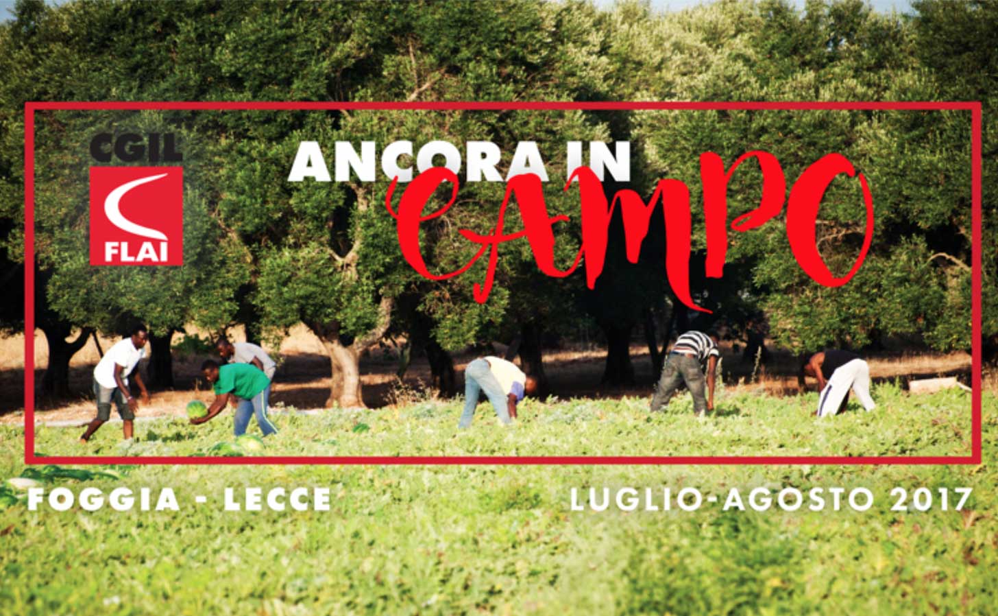 Ancora In Campo Flai Cgil