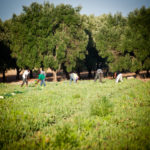 Decreto Ristori. Balì, chi legifera deve conoscere ed ascoltare il mondo del lavoro