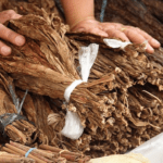 Tabacco. Aperte trattative CCNL lavorazione foglia di tabacco secco 2020-2024