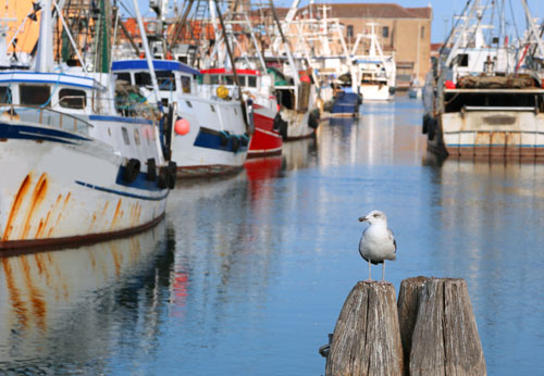 fermo pesca