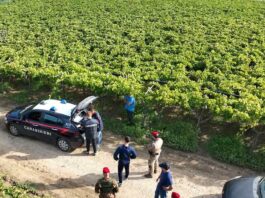 Sanzioni per lavoro nero in agricoltura